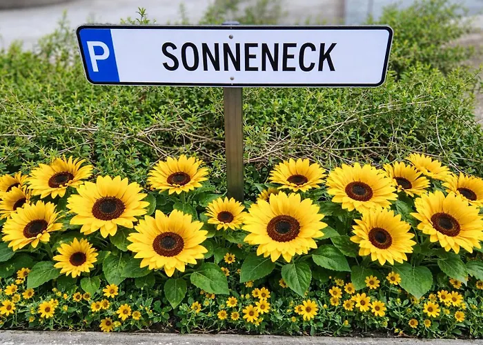 Apartman Stadthaus Sonneneck Bad Tölz
